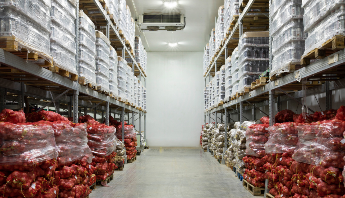 Frozen Storage Solutions: Maximizing Shelf Life and Reducing Waste