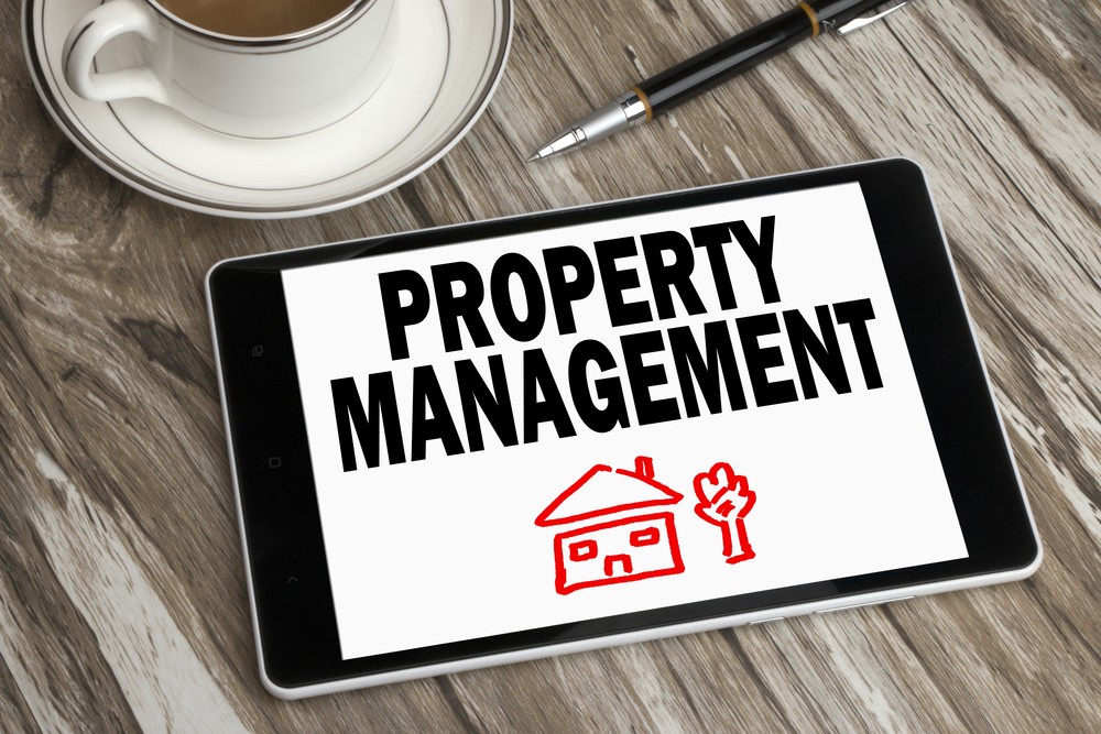 Navigating the Tenant-Landlord Relationship: The Value of Property Managers